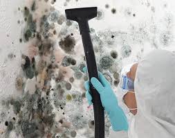 Best Basement Mold Removal  in Buffalo, TX